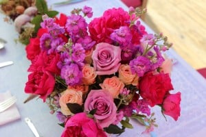 Deck_Flowers_Close-Up
