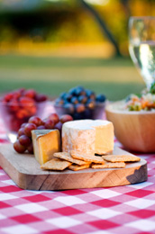 appetizers for parties appetizers for parties
