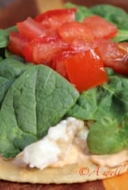 Breakfast-tostadas-recipe-www.seasonedkitchen.com