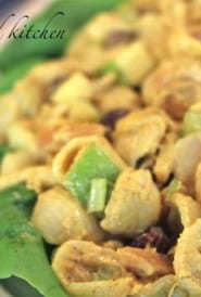 Curried-chicken-pasta-salad-recipe-seasonedkitchen.com