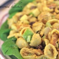 Curried-chicken-pasta-salad-recipe-seasonedkitchen.com