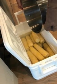 cooler filled with corn and hands pouring in water