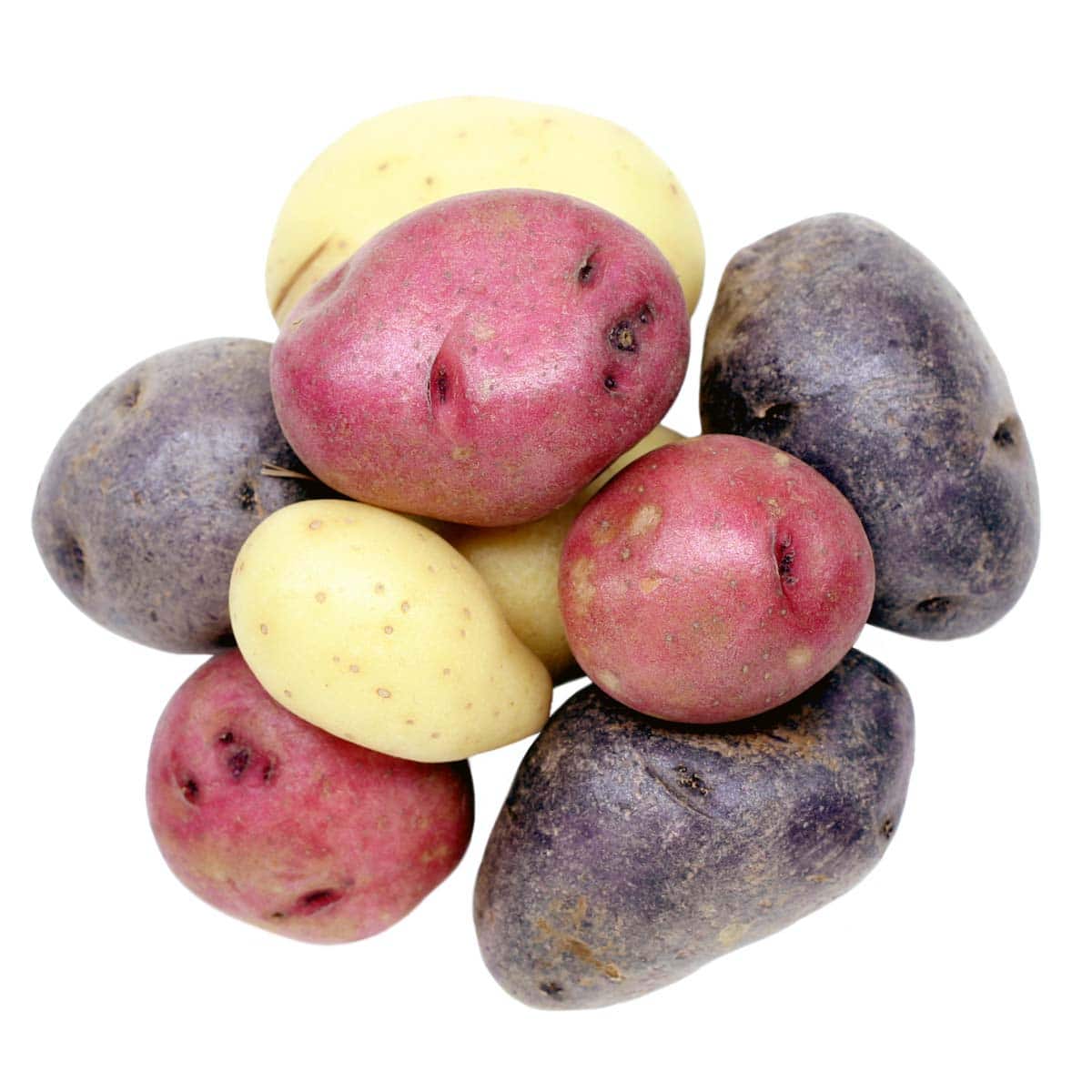 overhead shot of raw multicolored new potatoes