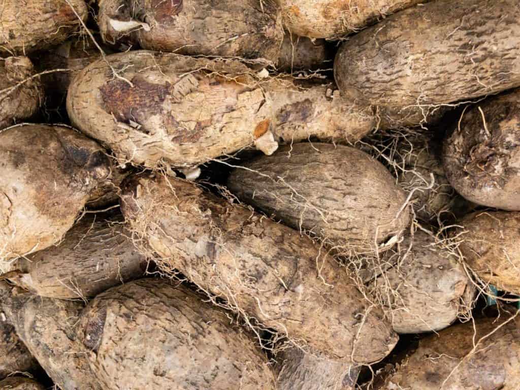 close up of African yams
