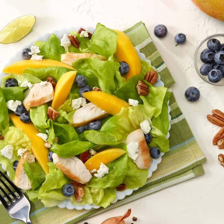 White plate filled with Chicken,Blueberry and Mango Salad
