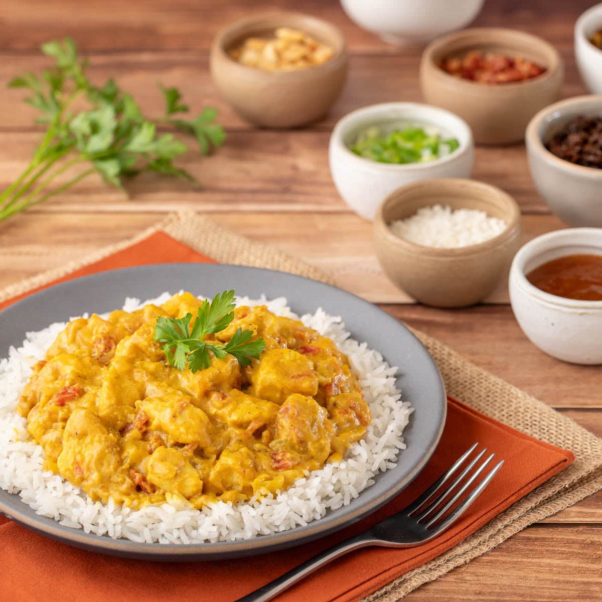 A portion of Chicken Curry with Coconut Milk atop basmati rice with some toppings on the side