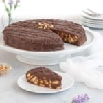 Biscuit cake on a cake stand with a slice on a plate in front