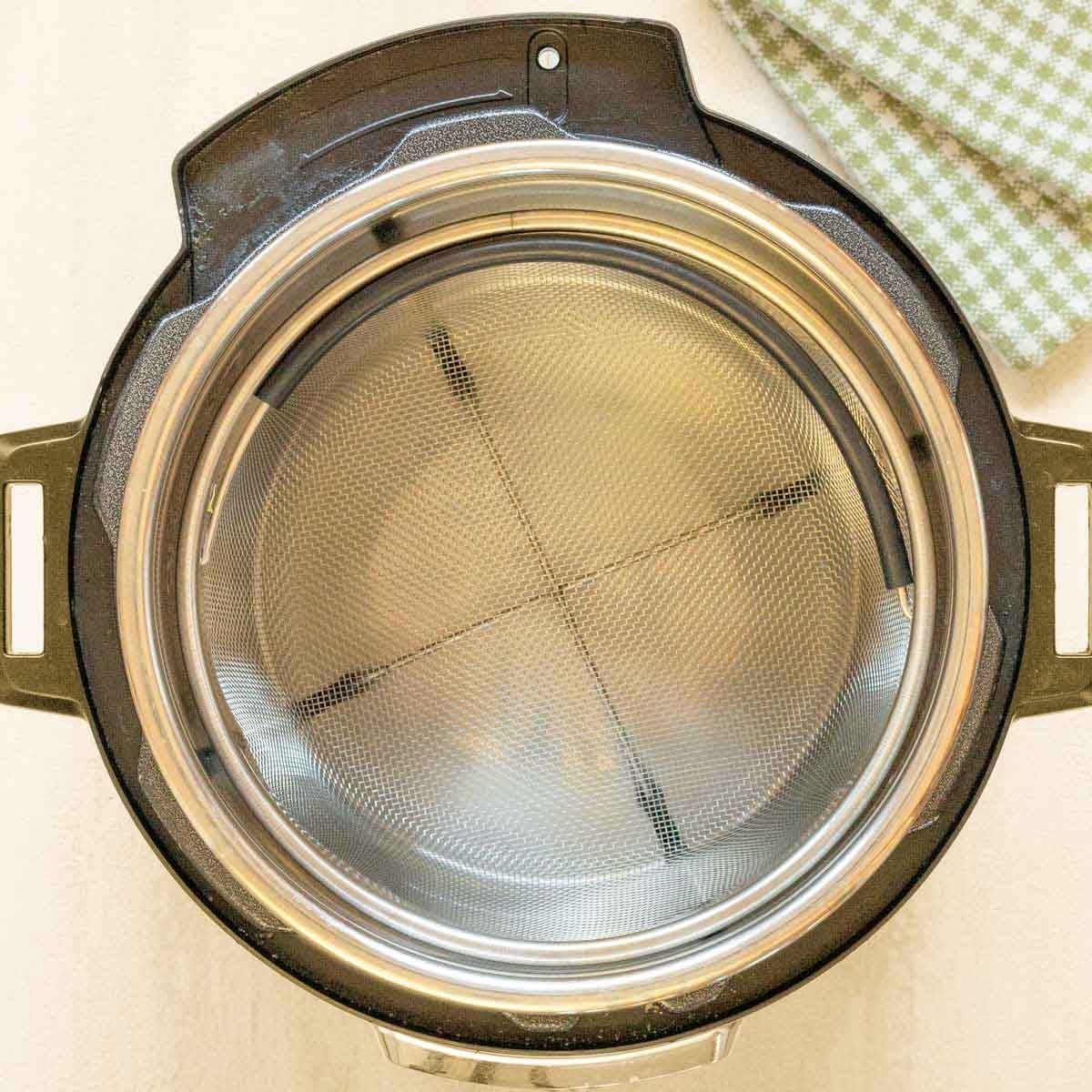steamer basket and water inside Instant Pot.