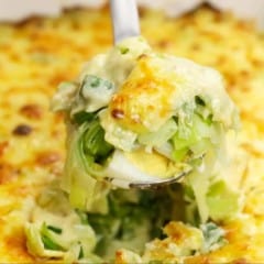 Scoop of Leek Gratin in spoon hovering over casserole dish