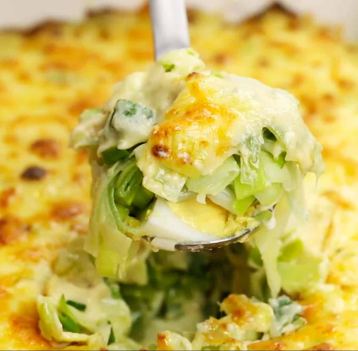 Scoop of Leek Gratin in spoon hovering over casserole dish