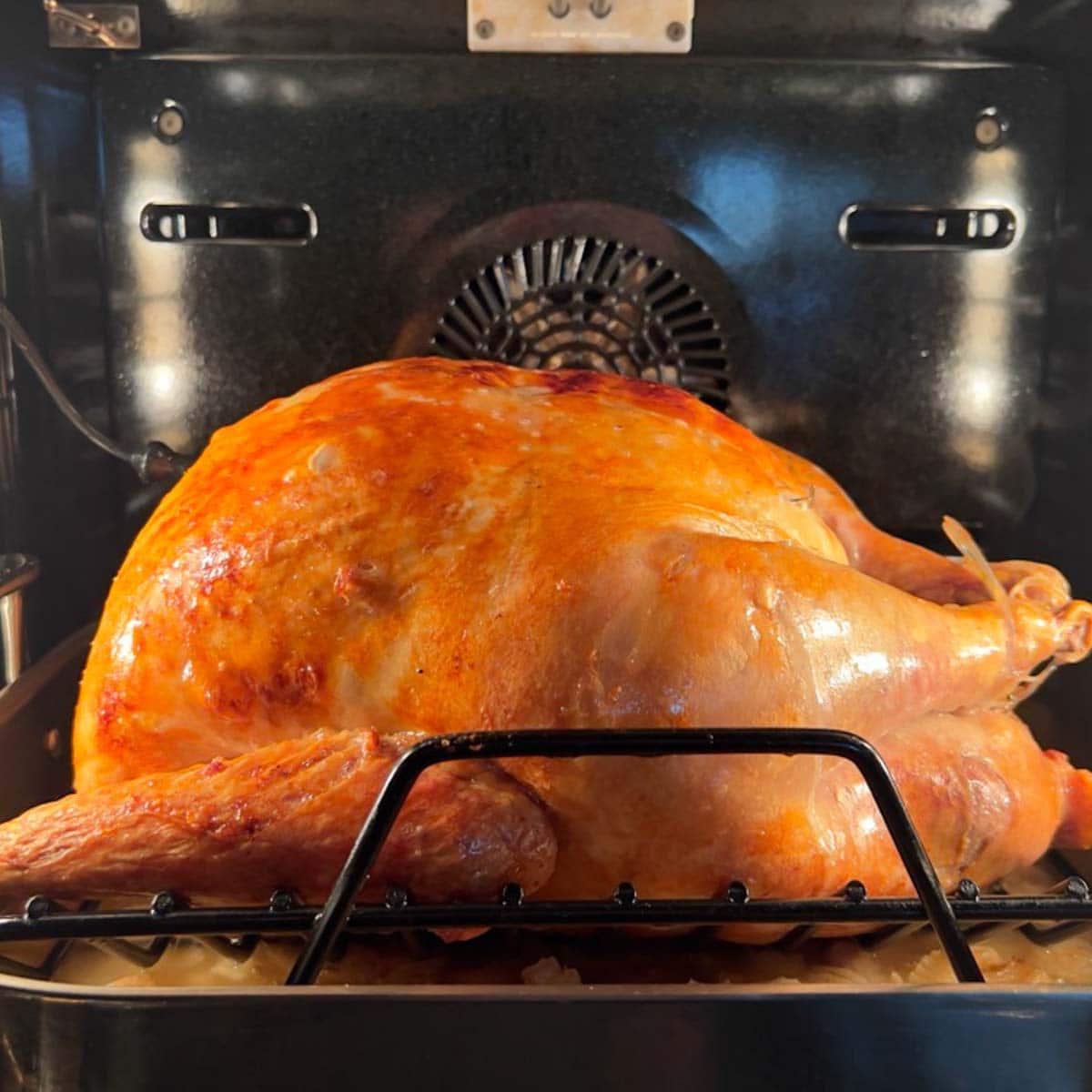 Turkey roasting in oven, breast side up