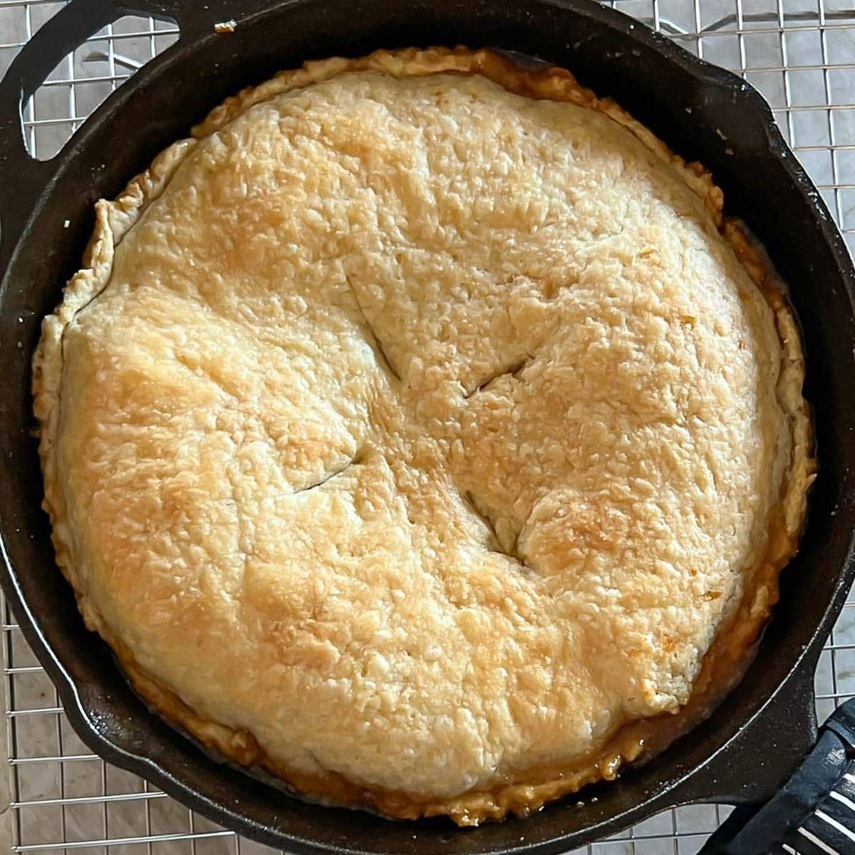 Apple Tarte Tatin after removing from oven, but before flipping, showing golden brown crust