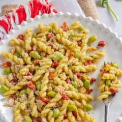 White plate filled with a portion of Tuna and Roasted Red Pepper Pasta Salad